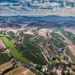 Crown Point Vineyards - photo 1