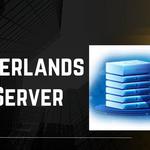 Netherlands Server - photo 1