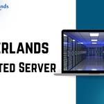 Netherlands Server - photo 2