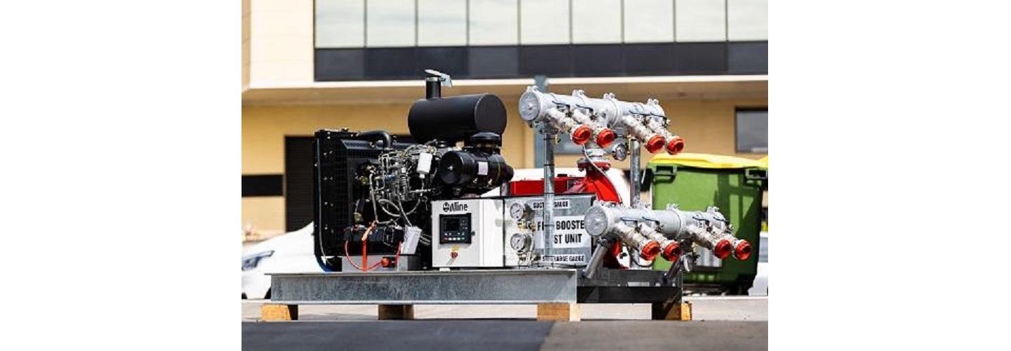 Aline Pumps Tingalpa cover photo