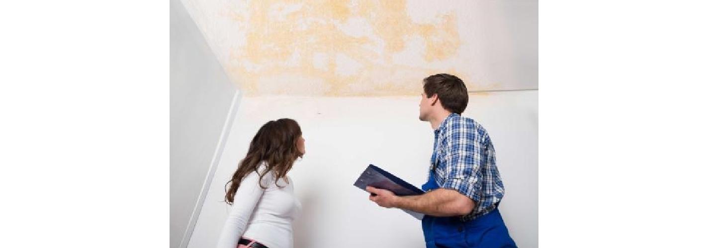 Somerset Super Water Damage Repair cover photo