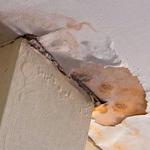 Somerset Super Water Damage Repair - photo 2