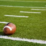 Artificial Grass Brisbane - photo 1