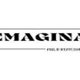 Emagina Mold Remediation - Home Services in El Portal
