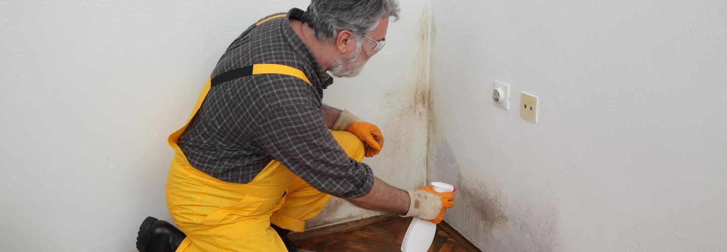 Emagina Mold Remediation cover photo