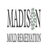 Madison Mold Remediation