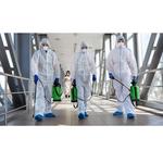 Abram-Perezville Mold Inspections - photo 3