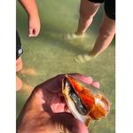 Mike's Coastal Expeditions, LLC - photo 2