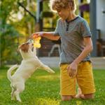 Insight Pest Solutions - photo 2