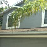 Top Dog Painting and Decorative Stonework - photo 4