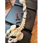 Dr. James Fraser - photo 1