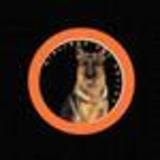 Airlines Pet Policy - Travel Agents in New York