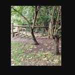 The Boutique Day Nursery and Preschool - photo 2