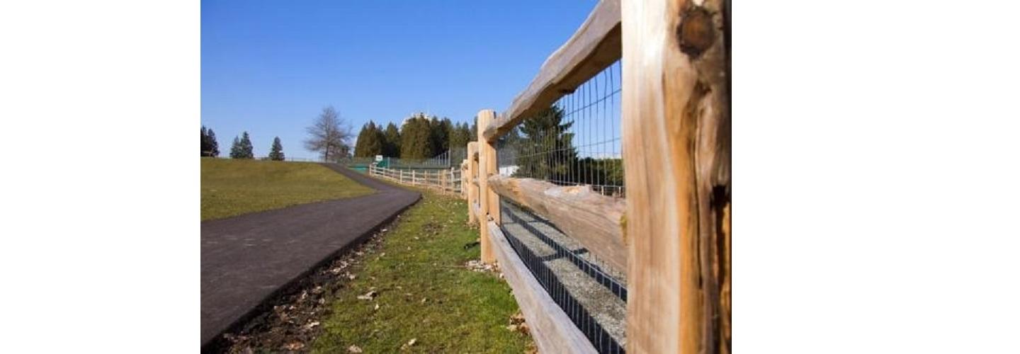 Raybern Erectors cover photo