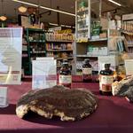 TOADS TOOL LABS - photo 4