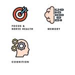 TOADS TOOL LABS - photo 6