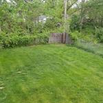 Limitless Deck Repair LLC - photo 5