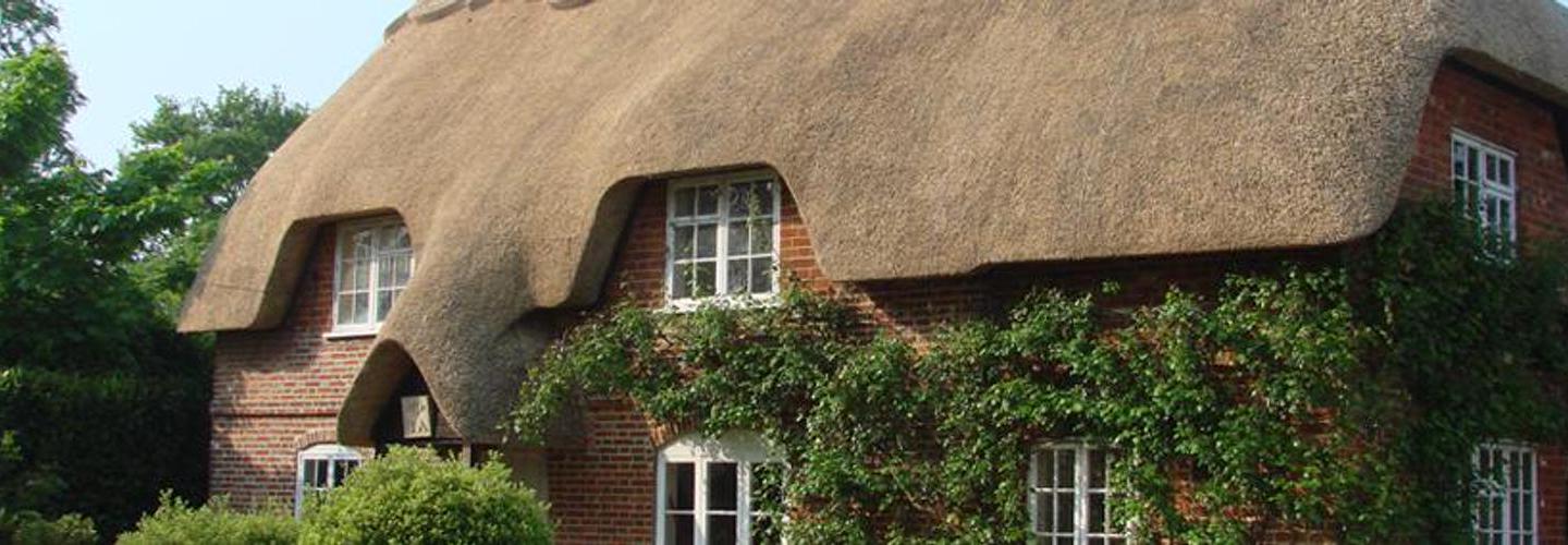 Mike Bartlett & Sons cover photo