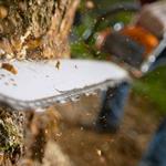 Advanced Tree Care - photo 1