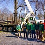Advanced Tree Care - photo 2