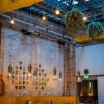 Brisbane Service Group - photo 7