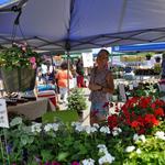 Comfort Suites Pineville - Ballantyne Area - photo 6