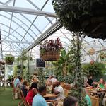 Comfort Suites Pineville - Ballantyne Area - photo 8