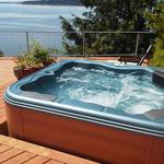 Ole's Pool and Spa - photo 6