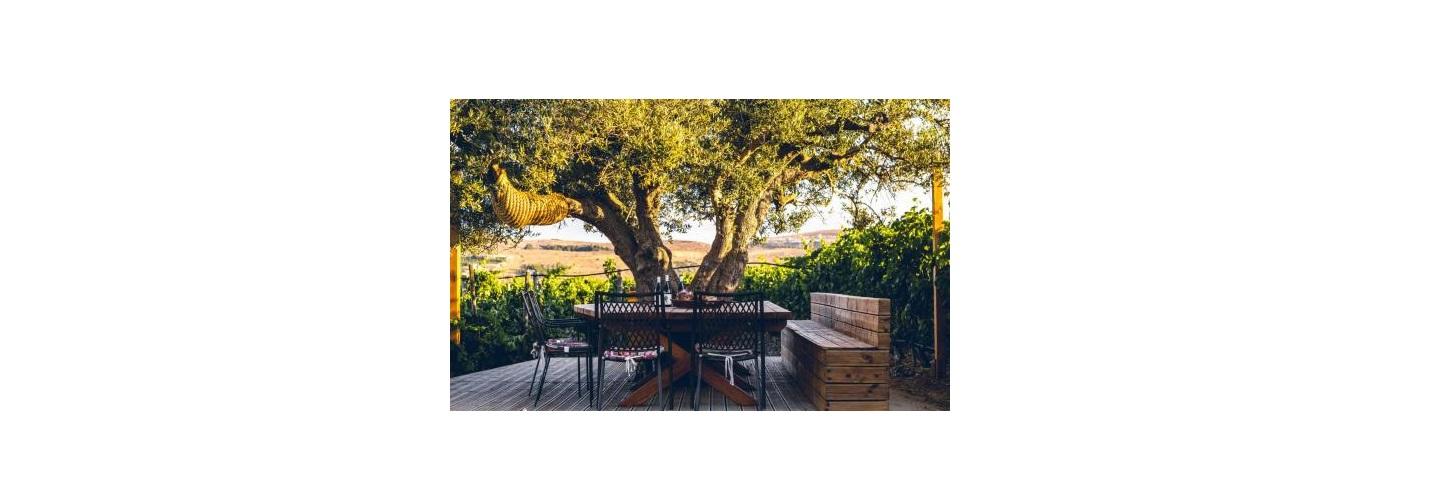 Clinard Properties cover photo