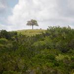 Clinard Properties - photo 1