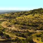 Clinard Properties - photo 2