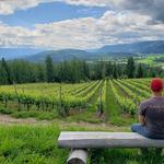Larch Hills Winery - photo 1