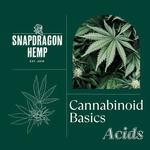 Snapdragon Hemp - photo 1