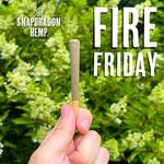 Snapdragon Hemp - photo 4