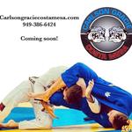 Carlson Gracie Costa Mesa - photo 1