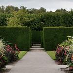 Irish Lawn and Landscaping - photo 5