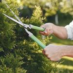 Irish Lawn and Landscaping - photo 6