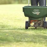 Irish Lawn and Landscaping - photo 8