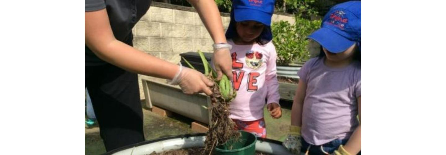 Shine Preschool Carlingford cover photo