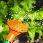 Shannon's Rustic Treasures - photo 2