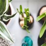 Shannon's Rustic Treasures - photo 3