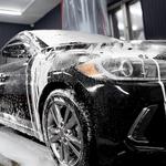 Sharp Detail - photo 7