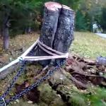 Shreveport Tree Services & Removal - photo 5