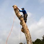 Shreveport Tree Services & Removal - photo 7