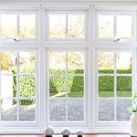 Lotus Windows - photo 9