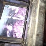 B.LA.C Rooter Service - photo 1