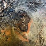 B.LA.C Rooter Service - photo 9