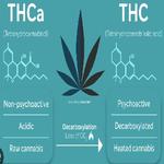 Bud Brothers - photo 2