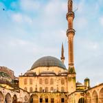 iLink Turkey - photo 4