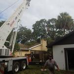 Branch Manager Tree Service - photo 2